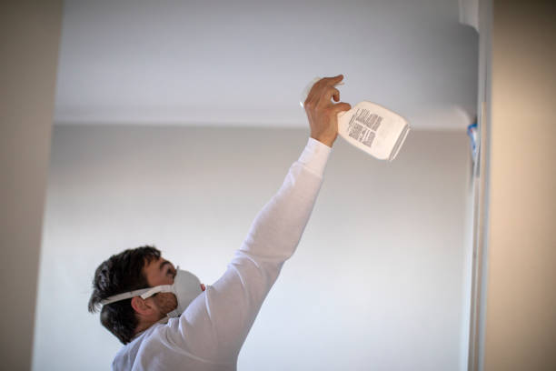 Best Same-Day Mold Removal  in Faison, NC